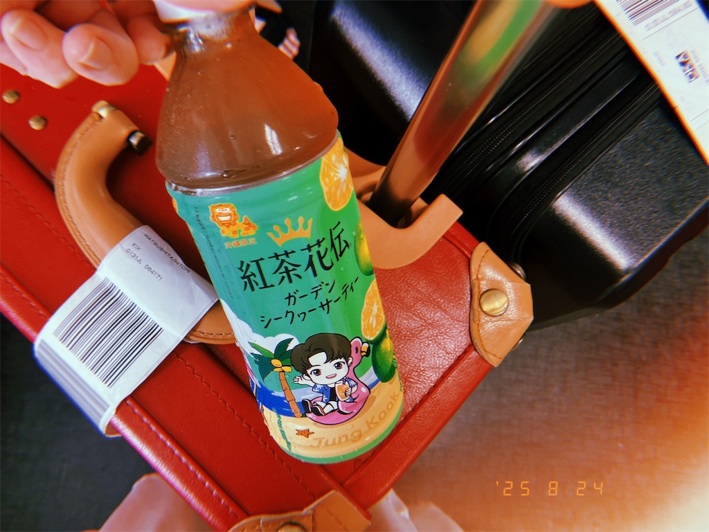 f:id:reonnoise:20250923135112j:image