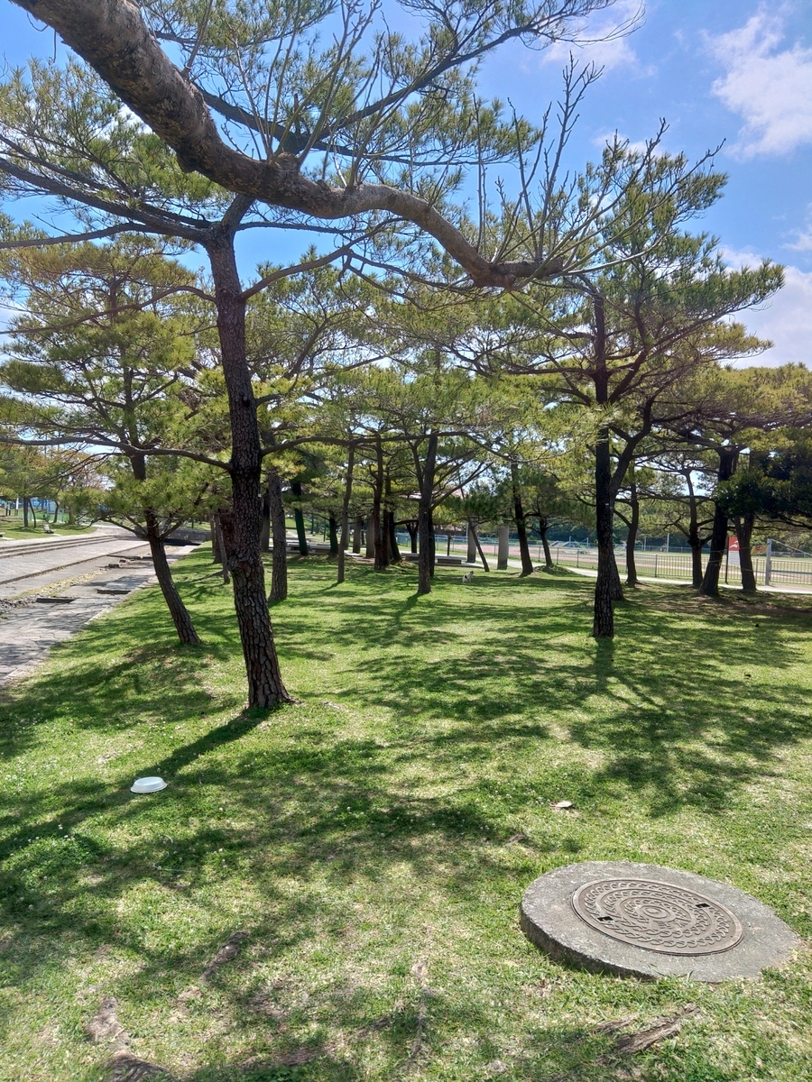 f:id:reopa16:20210420112105j:plain