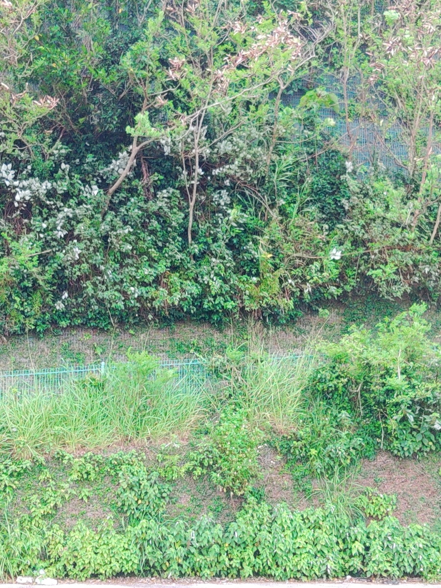 f:id:reopa16:20210424122121j:plain
