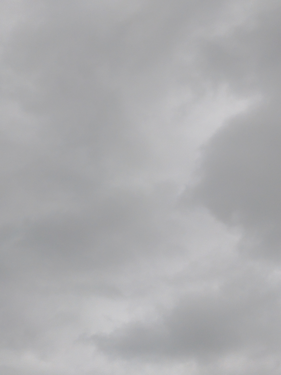 f:id:reopa16:20210424122311j:plain