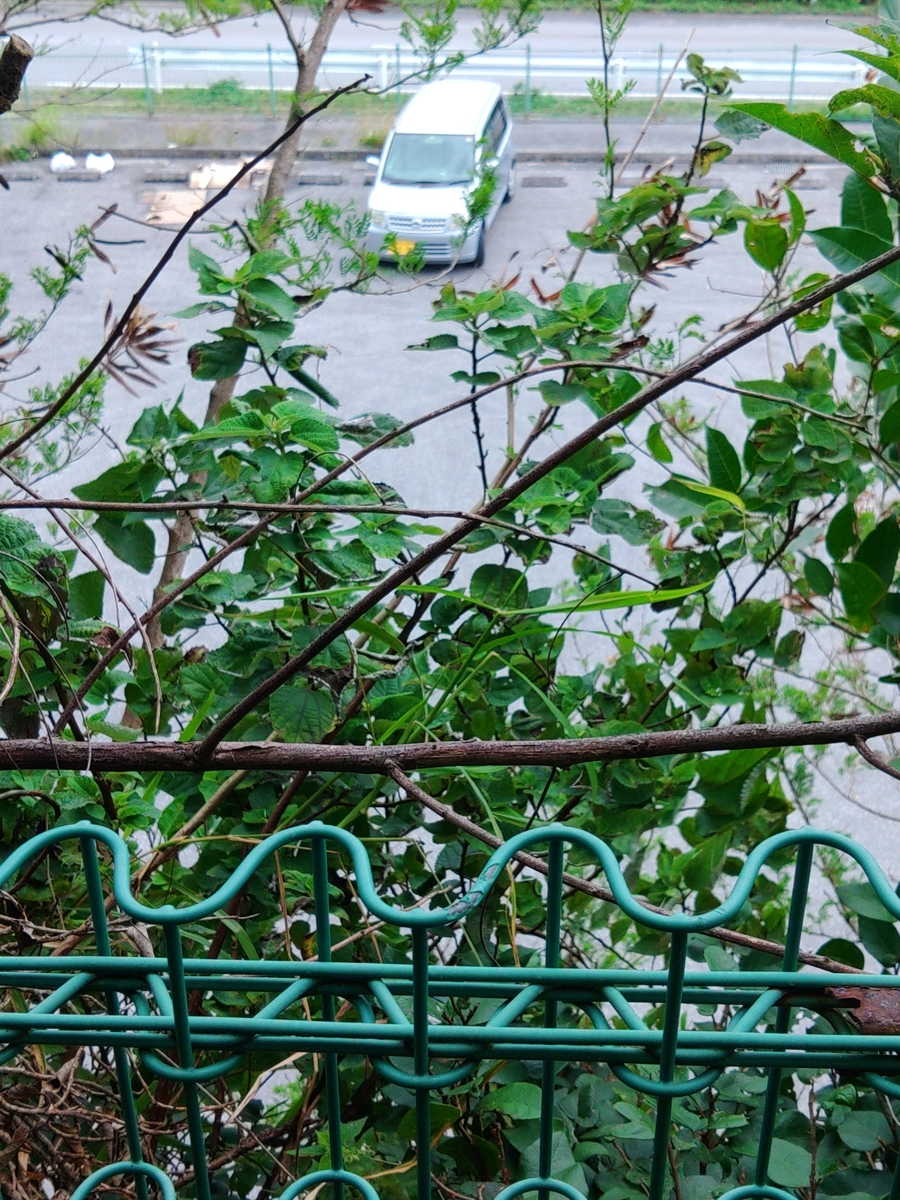 f:id:reopa16:20210424164714j:plain