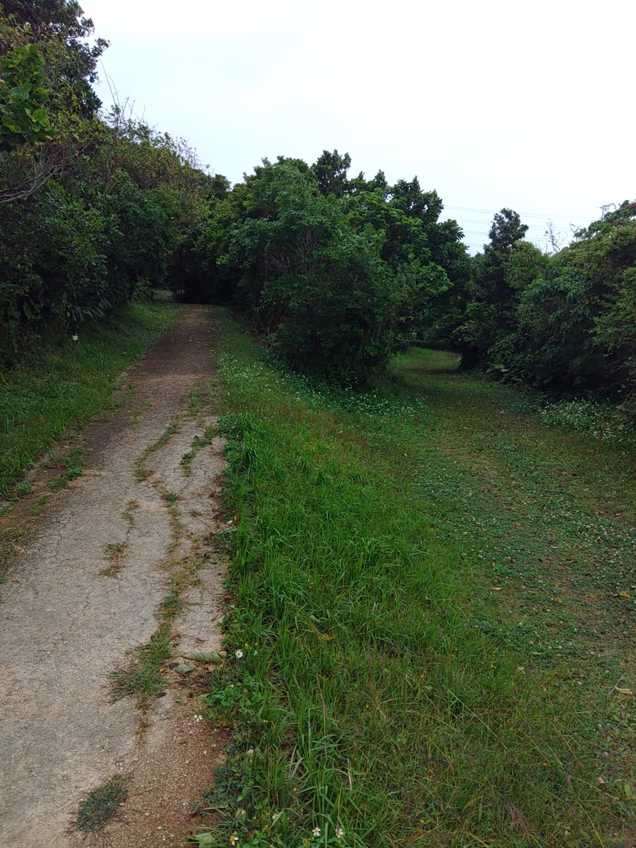f:id:reopa16:20210424180102j:plain