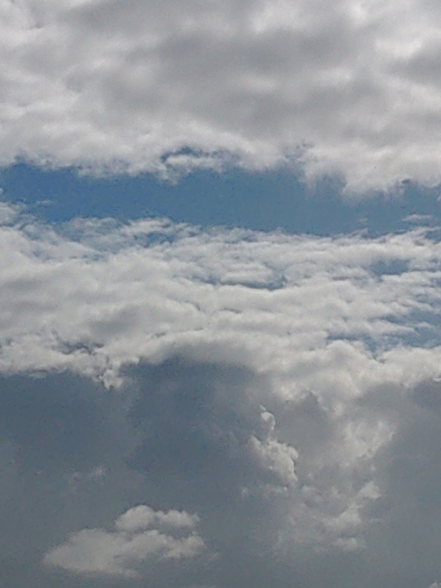 f:id:reopa16:20210425190130j:plain