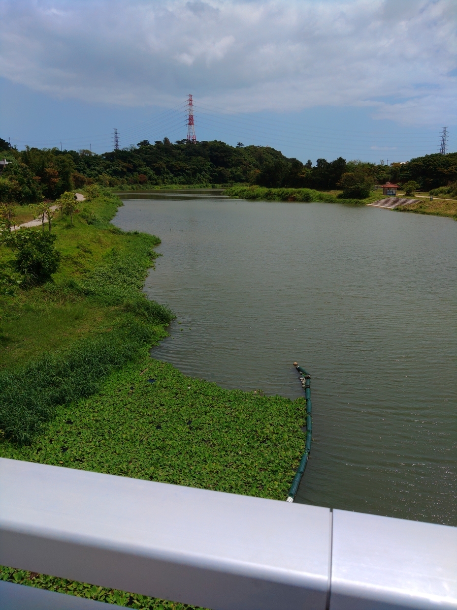 f:id:reopa16:20210425195456j:plain