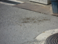 20120728121425