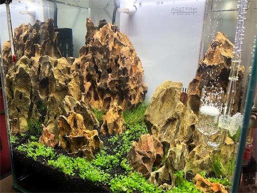 f:id:reoponz:20180312112534j:image