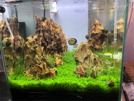 f:id:reoponz:20180404223256j:image
