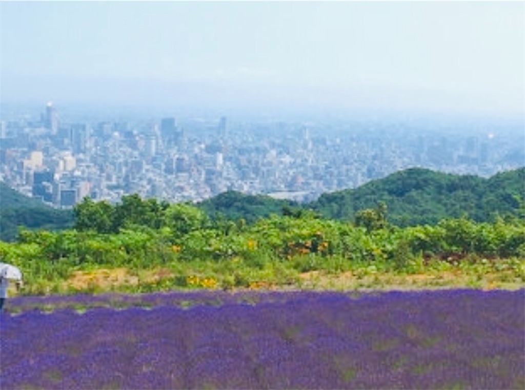 f:id:reouniyoda19:20190710025532j:image