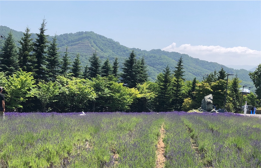 f:id:reouniyoda19:20190710030301j:image