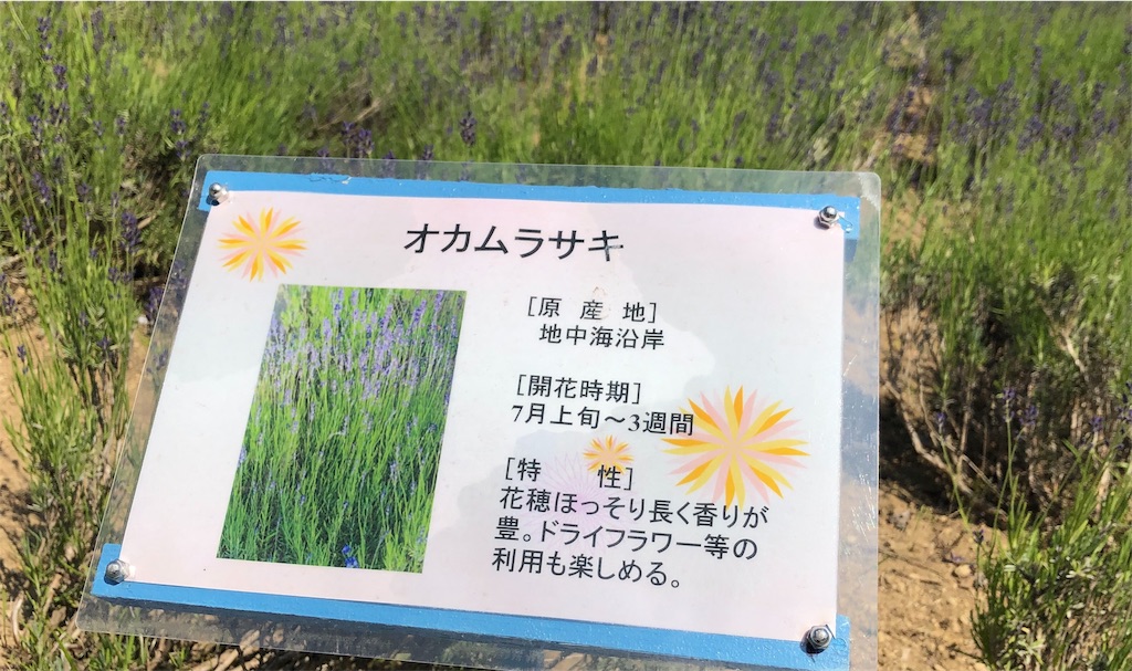 f:id:reouniyoda19:20190710030600j:image