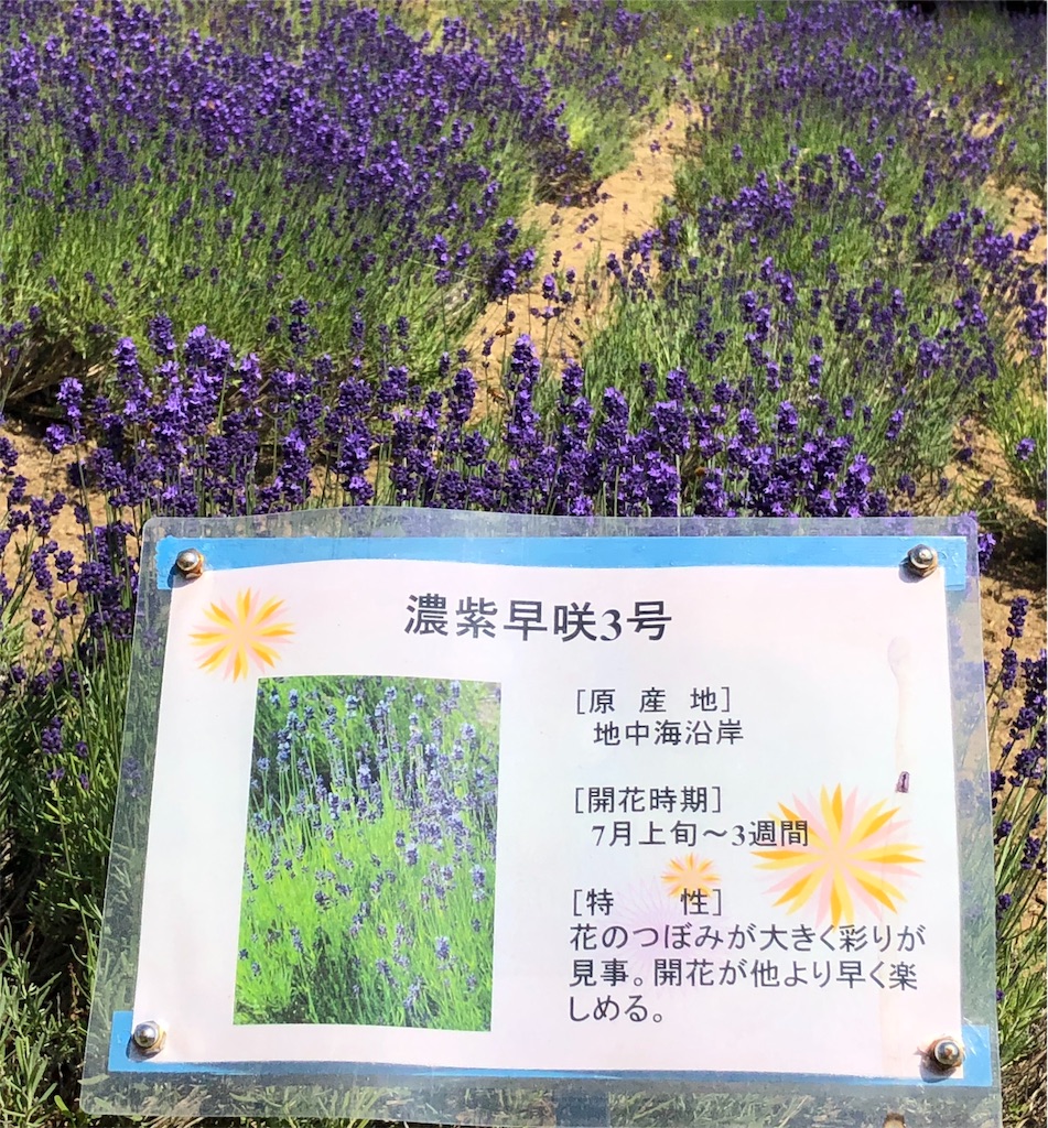 f:id:reouniyoda19:20190710030619j:image