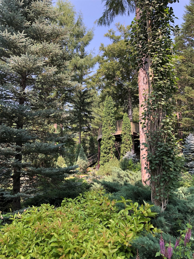 f:id:reouniyoda19:20190812025250j:image