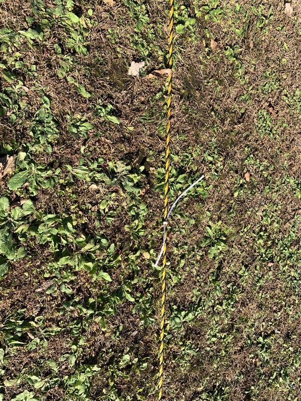 f:id:repisie:20211119204219j:plain