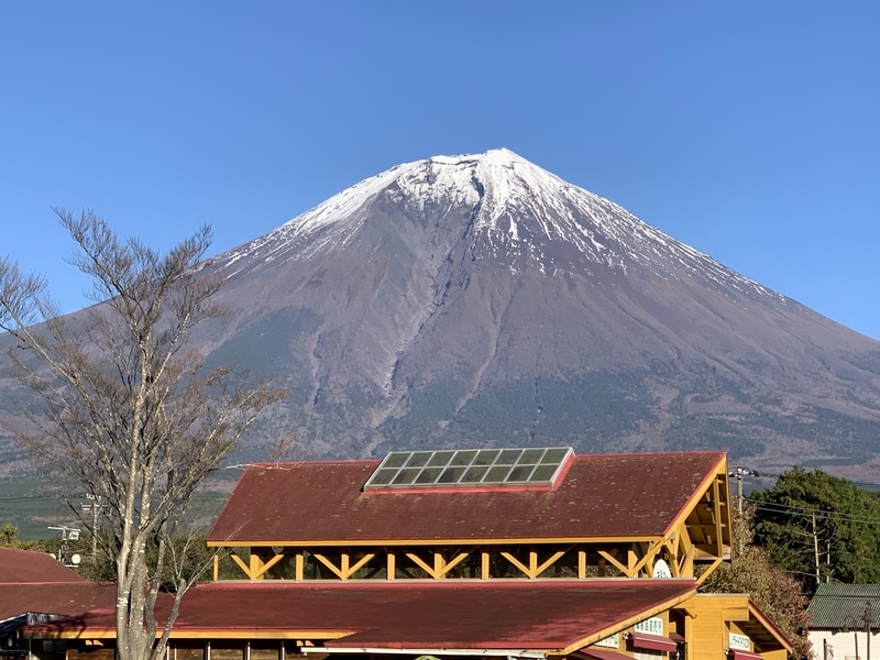 f:id:repisie:20211119204307j:plain