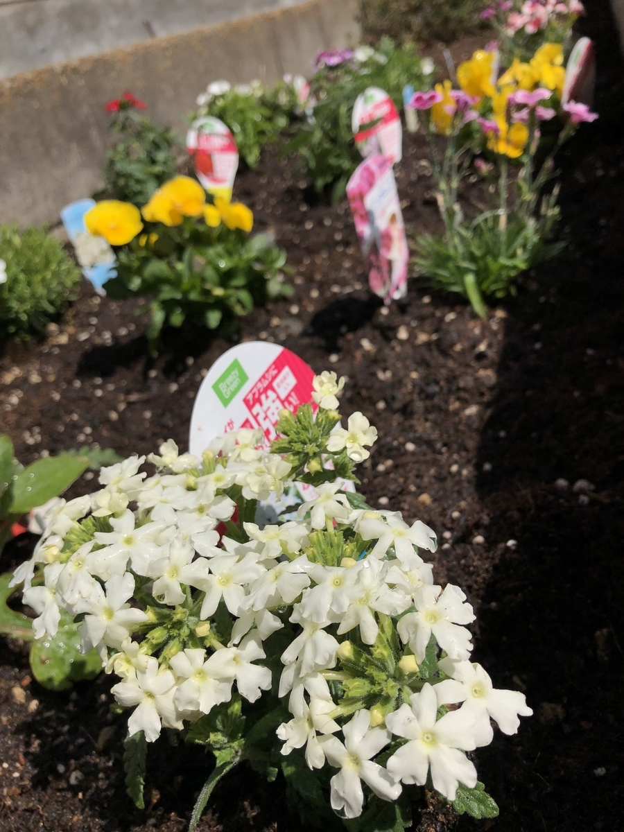 f:id:replus:20190425103357j:plain