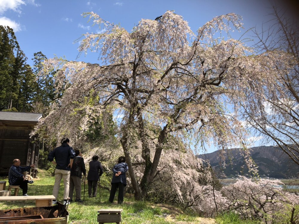 f:id:replus:20190426104923j:plain
