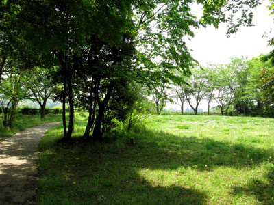 f:id:rerasiu:20090513003122j:image
