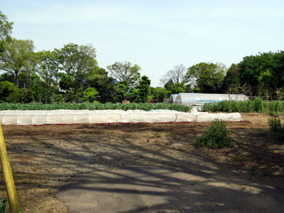 f:id:rerasiu:20090513003251j:image