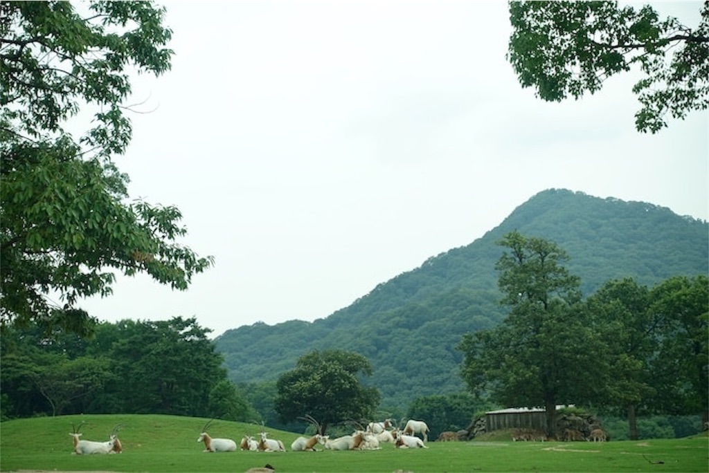 f:id:rerex:20191007135030j:image f:id:rerex:20191007135030j:image