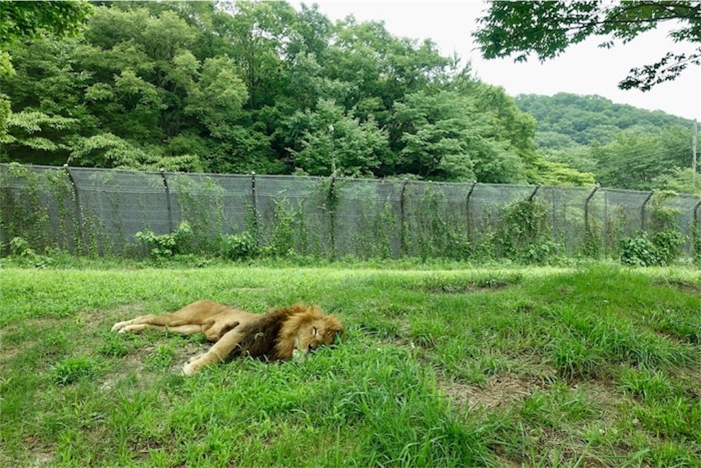 f:id:rerex:20191007135126j:image f:id:rerex:20191007135126j:image