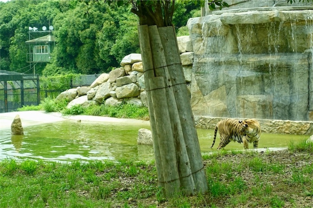 f:id:rerex:20191007135229j:image f:id:rerex:20191007135229j:image