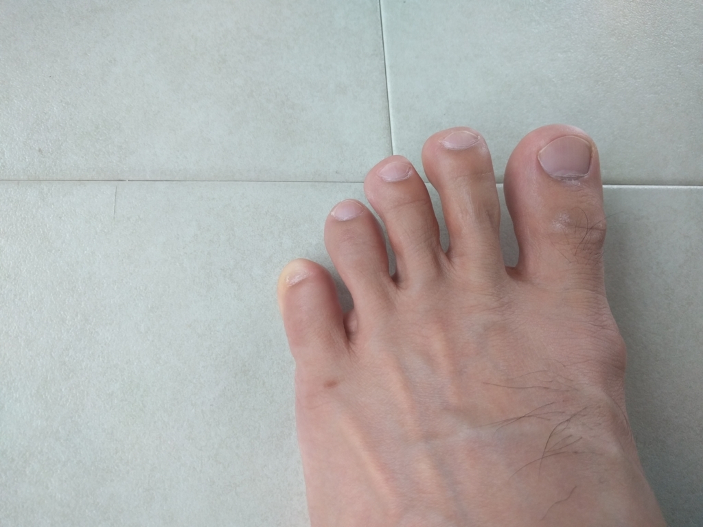f:id:rerizum:20180513141035j:plain f:id:rerizum:20180513141035j:plain
