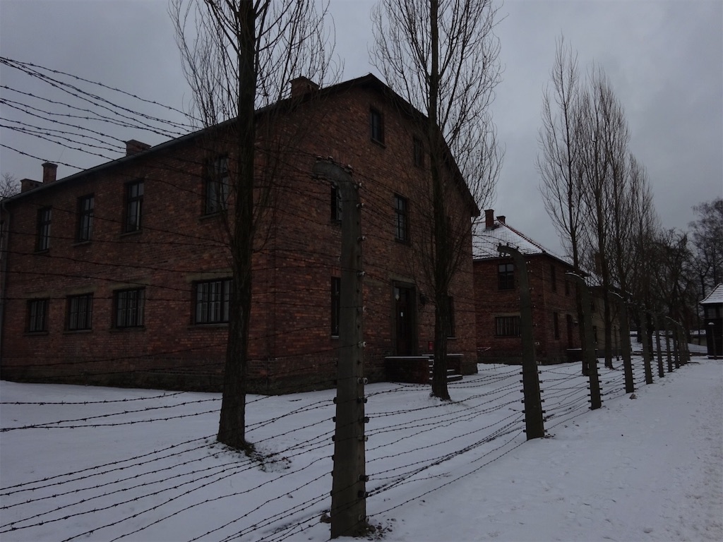 f:id:resa96:20190128073559j:image f:id:resa96:20190128073559j:image