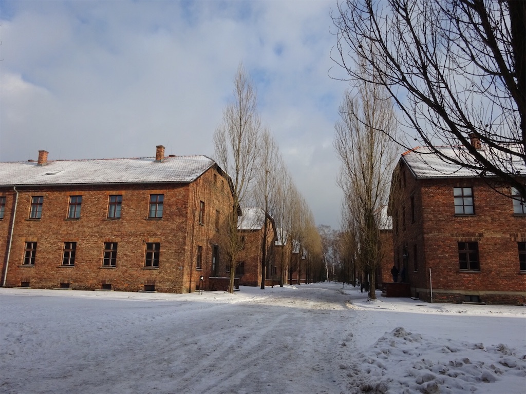 f:id:resa96:20190128073656j:image f:id:resa96:20190128073656j:image