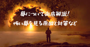 f:id:resamaru:20210817104407j:plain