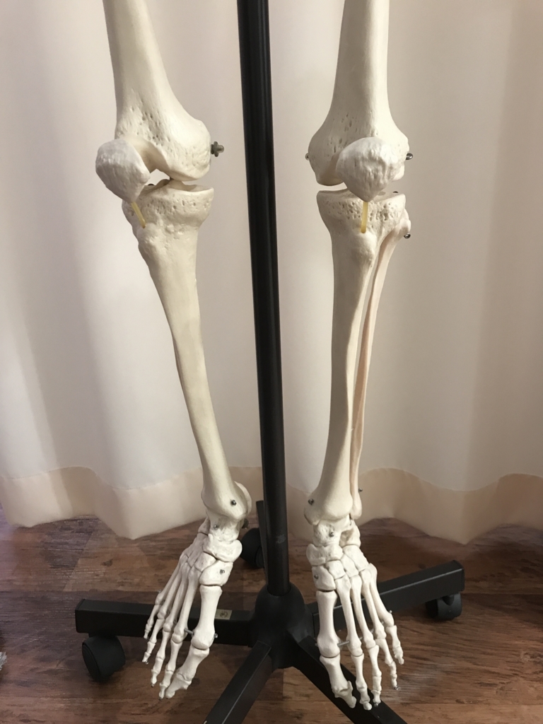 痛みの我慢は後々響く 横浜関内の整体ブログ