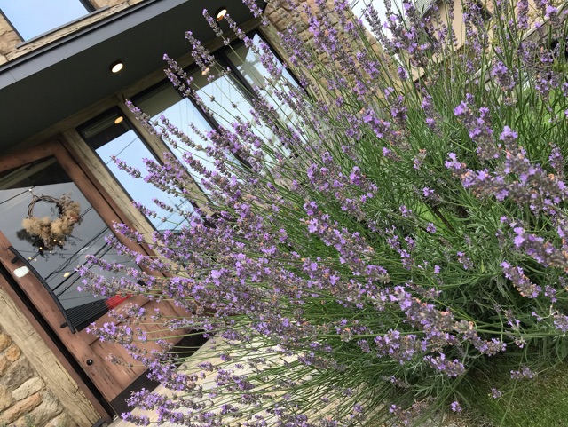 f:id:resante:20190806123510j:plain f:id:resante:20190806123510j:plain