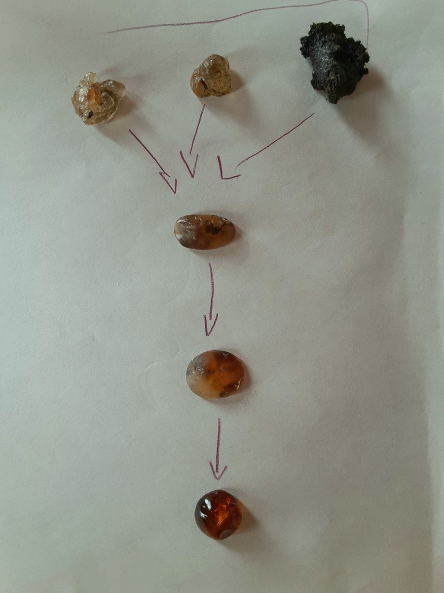 f:id:research_with_child:20201026062000j:plain