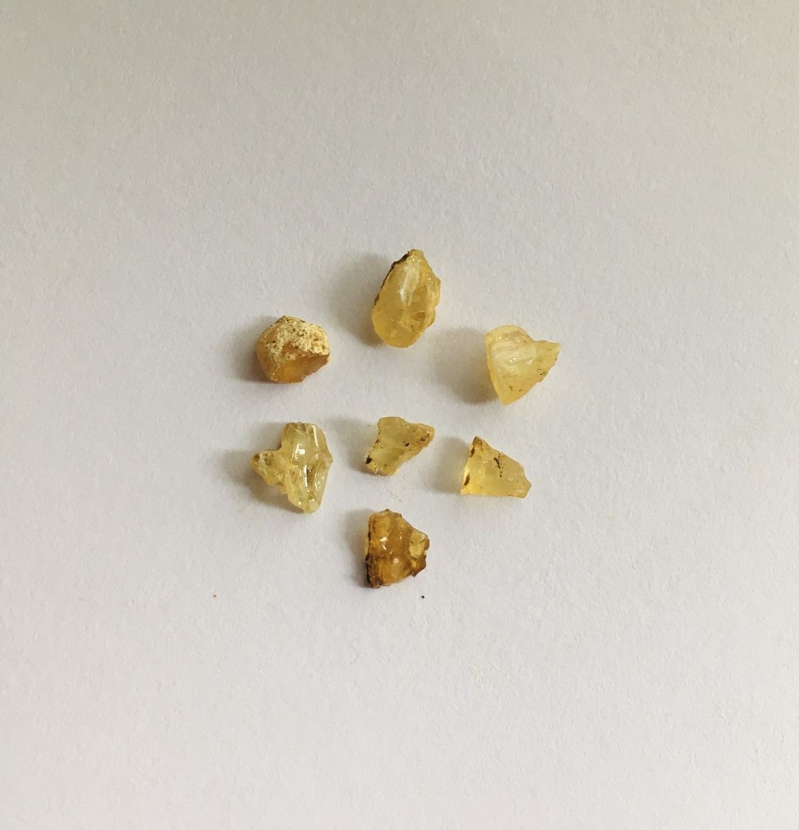 f:id:research_with_child:20210630215213j:plain
