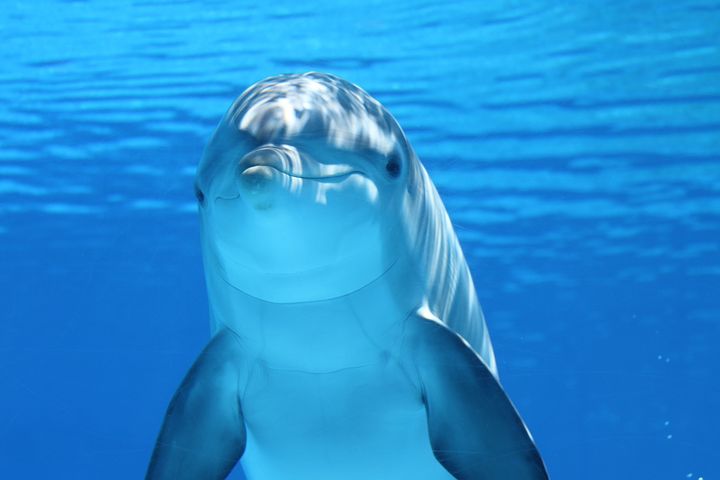 f:id:resisupo:20190510104013j:plain f:id:resisupo:20190510104013j:plain
