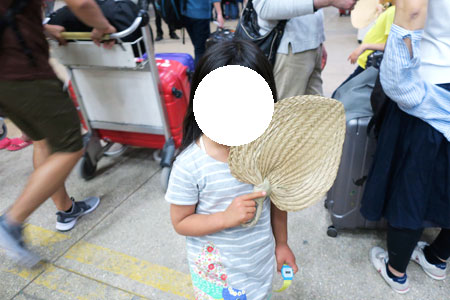 f:id:resoneko:20200317144407j:plain