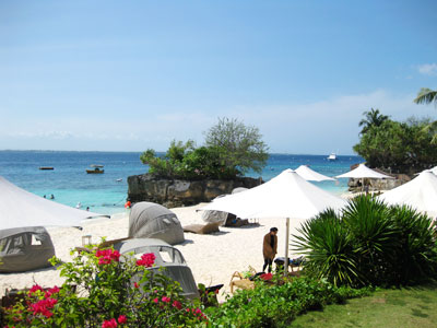 f:id:resoneko:20200318231339j:plain