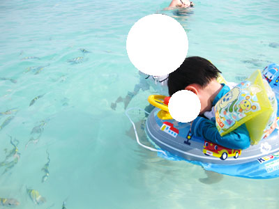 f:id:resoneko:20200318232247j:plain