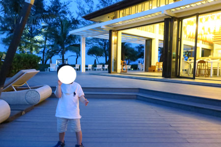 f:id:resoneko:20200408235103j:plain