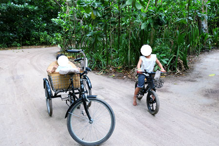 f:id:resoneko:20200422100019j:plain