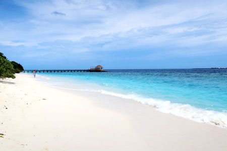 f:id:resoneko:20200422102023j:plain