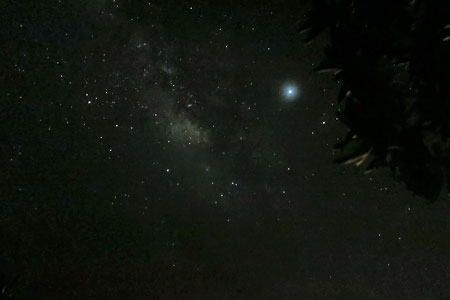 f:id:resoneko:20200422103708j:plain