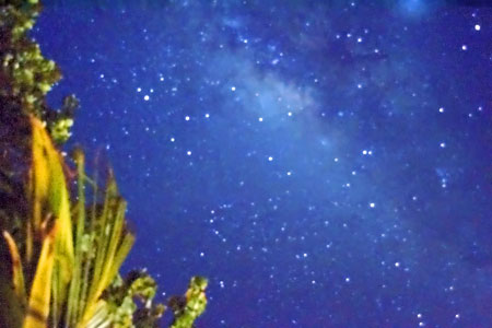 f:id:resoneko:20200422103728j:plain