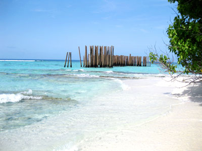 f:id:resoneko:20200424144827j:plain f:id:resoneko:20200424144827j:plain