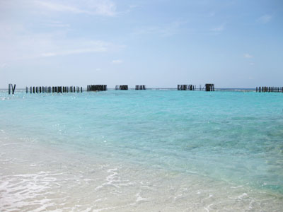 f:id:resoneko:20200424144830j:plain f:id:resoneko:20200424144830j:plain