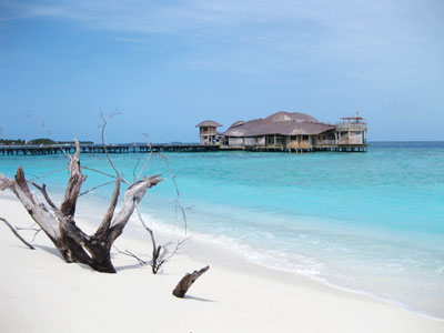 f:id:resoneko:20200424144915j:plain f:id:resoneko:20200424144915j:plain