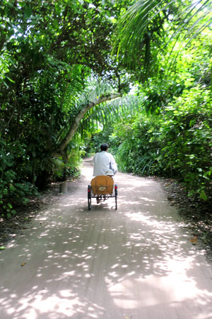 f:id:resoneko:20200424145045j:plain f:id:resoneko:20200424145045j:plain