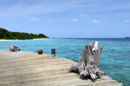 f:id:resoneko:20200424145052j:plain f:id:resoneko:20200424145052j:plain