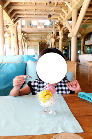 f:id:resoneko:20200424145314j:plain f:id:resoneko:20200424145314j:plain