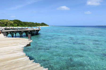 f:id:resoneko:20200424145353j:plain f:id:resoneko:20200424145353j:plain