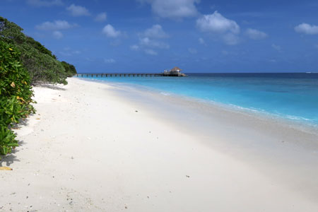 f:id:resoneko:20200424145431j:plain f:id:resoneko:20200424145431j:plain